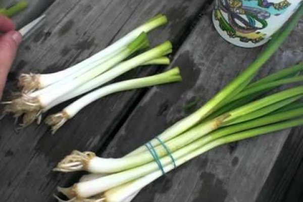 Оригинальная ссылка кракен браузера