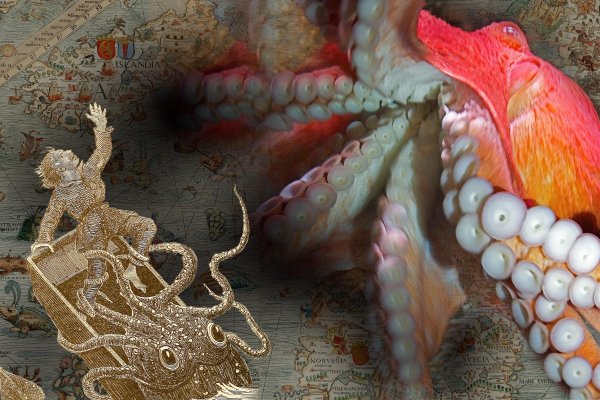 Kraken 24at