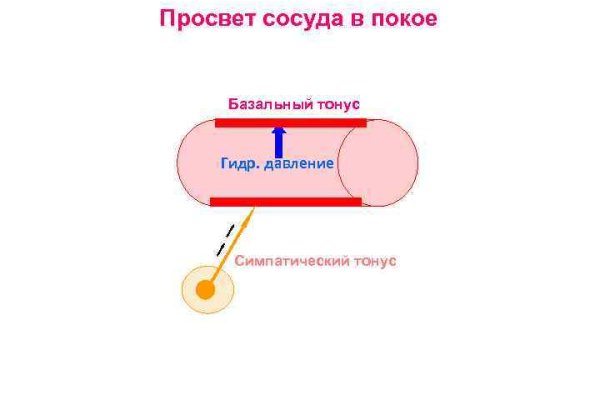 Кракен ссылка даркнет